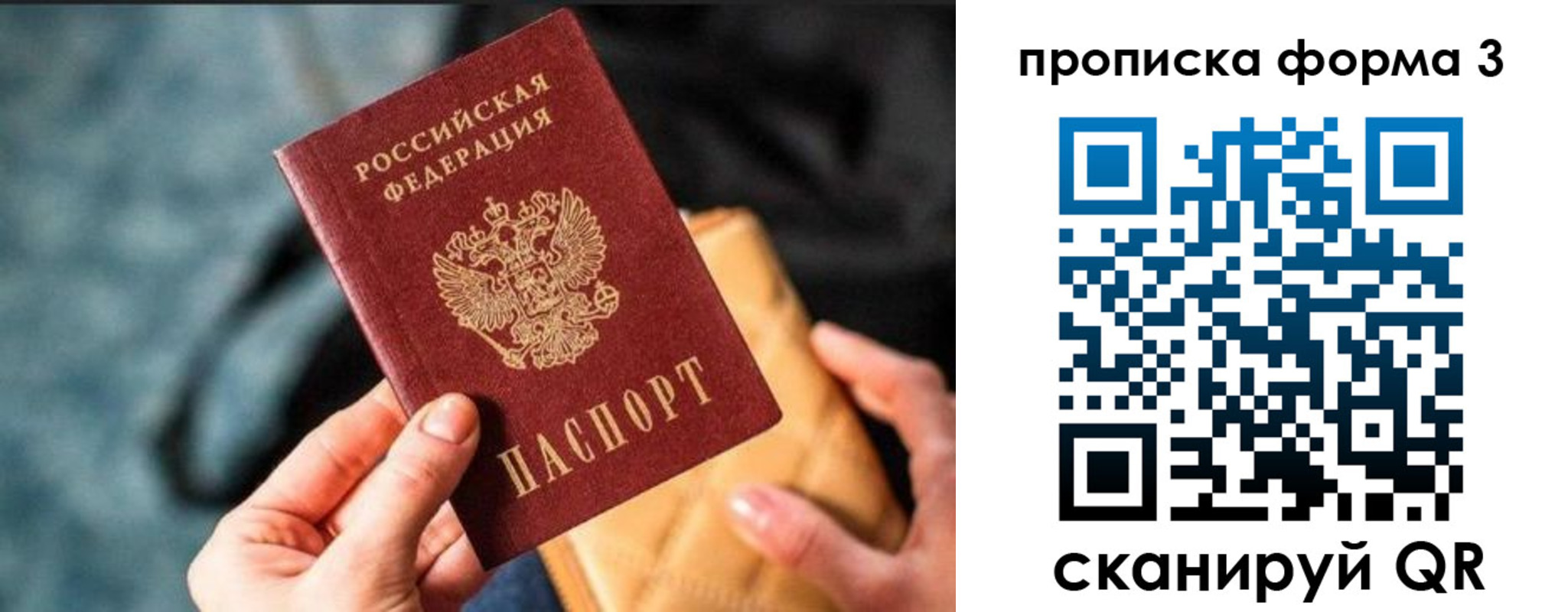 прописка гарантия в Алексеевке